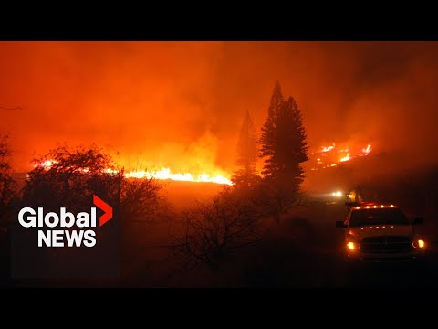Catastrophic Hawaii wildfires tear through historic tourist town in Maui: &quot;Like a war zone&quot;