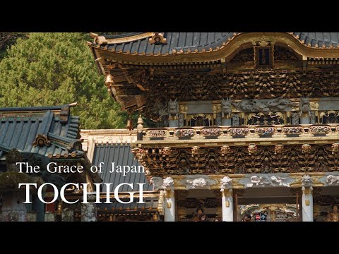 Culture(G7 ver.)&quot;The Grace of Japan,TOCHIGI&quot;