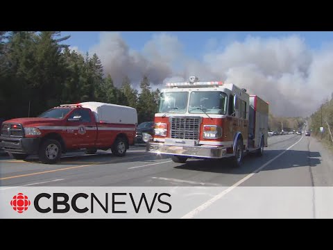 Halifax-area wildfire prompts state of emergency, evacuation order