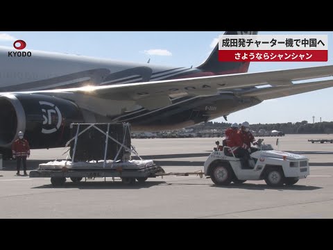 【速報】成田発チャーター機で中国へ さようならシャンシャン