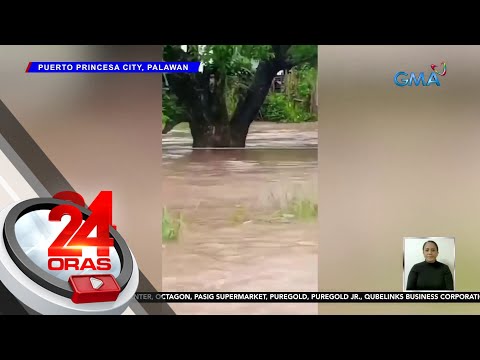 Ilang barangay sa Palawan, nagmistulang ilog; pati hayop apektado | 24 Oras
