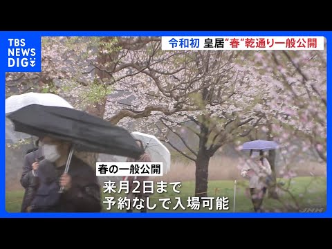 あいにくの雨の中　見ごろの桜を目指し多くの人が集まる　皇居・乾通り春の一般公開始まる｜TBS NEWS DIG