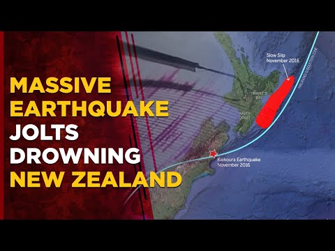 New Zealand Crisis Live: Massive Earthquake Hits Wellington As Nation Deals With Cyclone Aftermath