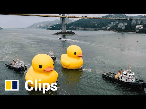 Giant rubber duck makes its comeback in Hong Kong after a decade, bringing a new friend