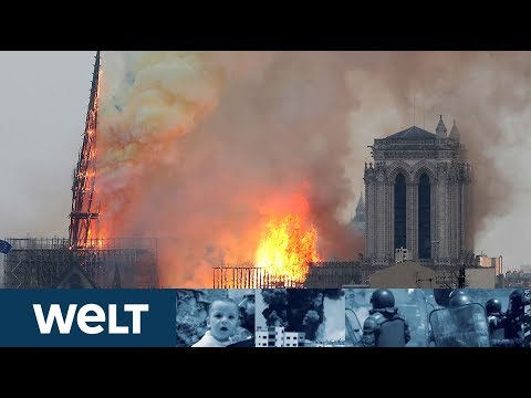 KATASTROPHE IN PARIS: Kathedrale von Notre-Dame brennt lichterloh
