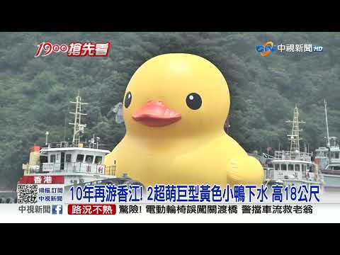 10年再游香江! 2超萌巨型黃色小鴨下水 高18公尺│中視新聞 20230525