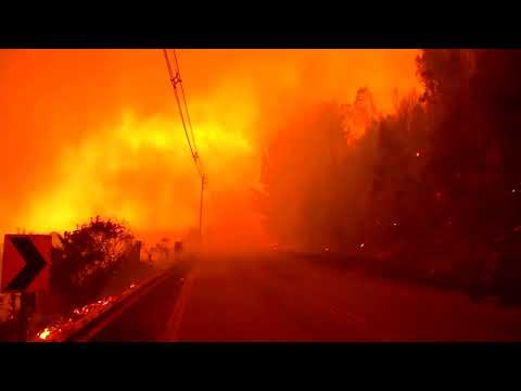 At least 24 dead in Chile as wildfires expand