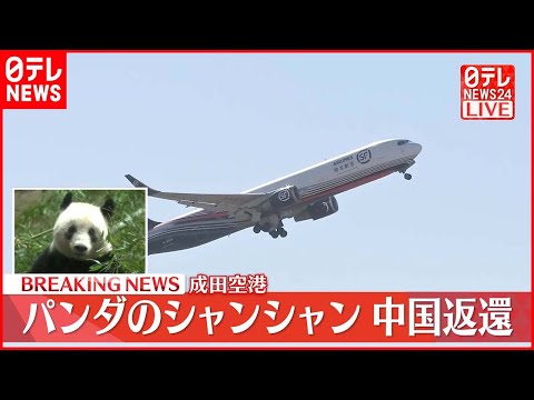 【速報】シャンシャン載せた飛行機が離陸…中国へ 成田空港