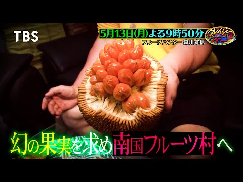 日本では食べられない禁断の果実！幻のフルーツ探し旅『クレイジージャーニー』5/13(月)【TBS】