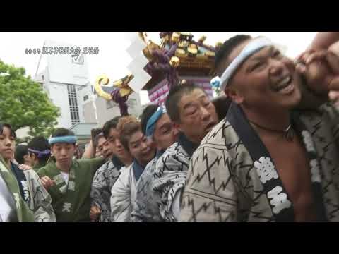 令和5年 浅草神社例大祭 三社祭