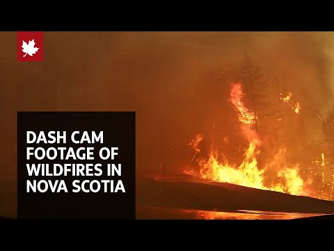 Dash cam footage shows Nova Scotia wildfire burning fiercely