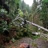 台風21号による停電が長期化 延べ停電数219万戸超