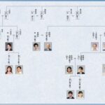 皇室の構成｜天皇皇后両陛下・上皇上皇后両陛下・各宮家の概略と相関図