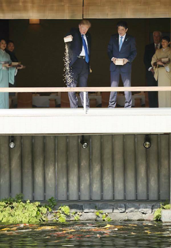 国賓として来日するトランプ大統領|2019年スケジュールと警備交通規制 11 2017年の来日時に話題となったトランプ大統領の鯉の餌やり(迎賓館・和風別館)