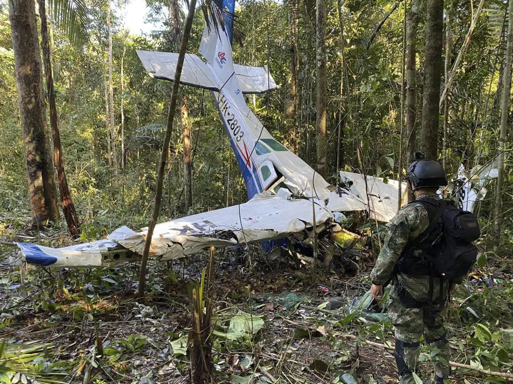 行方不明の子供4人を40日ぶりに発見 コロンビア アマゾンの小型機墜落事故